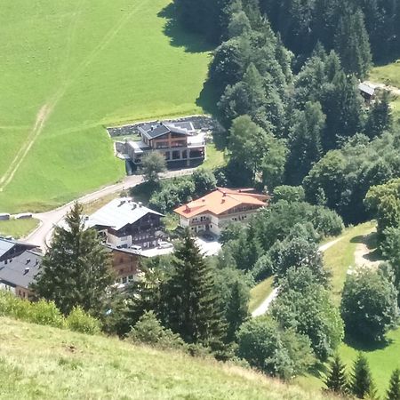 Haus Dienten Top 11 Dienten am Hochkönig Exteriér fotografie